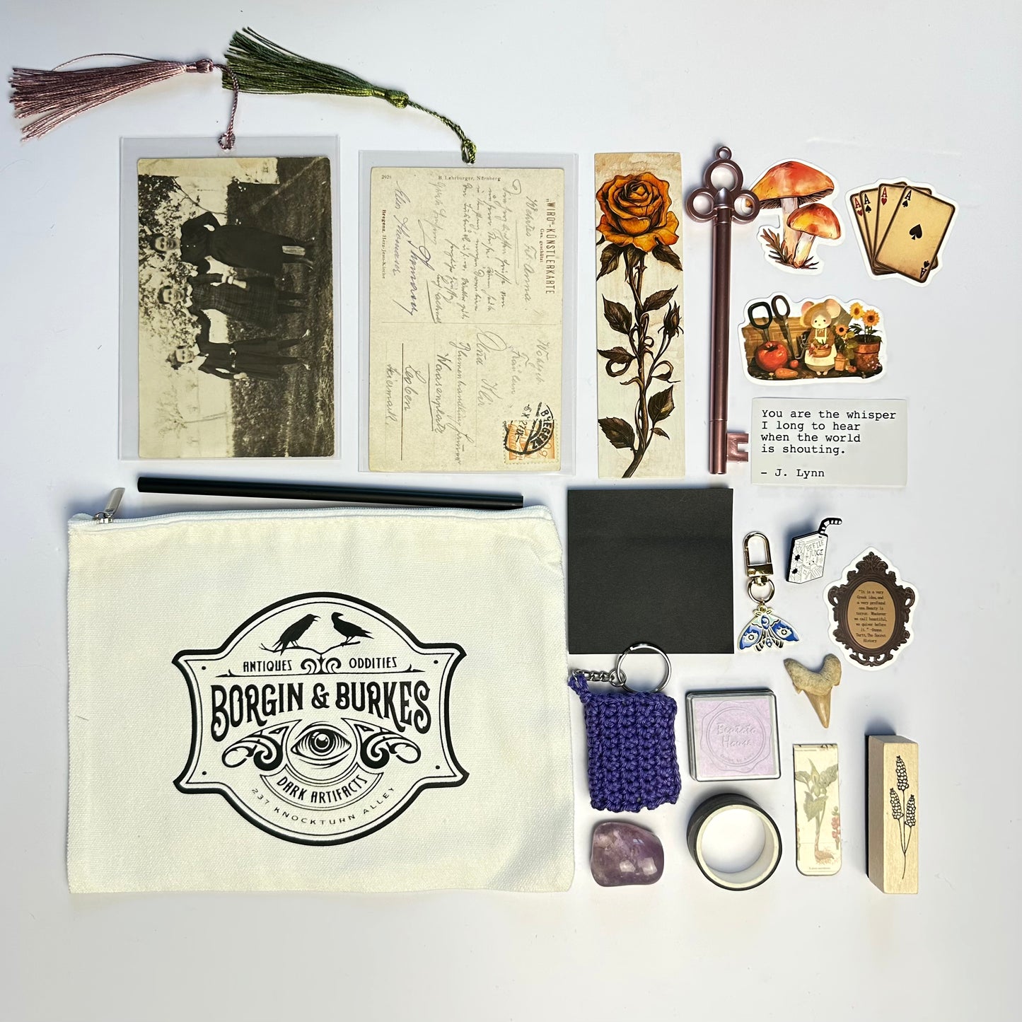 Curiosities Bundle