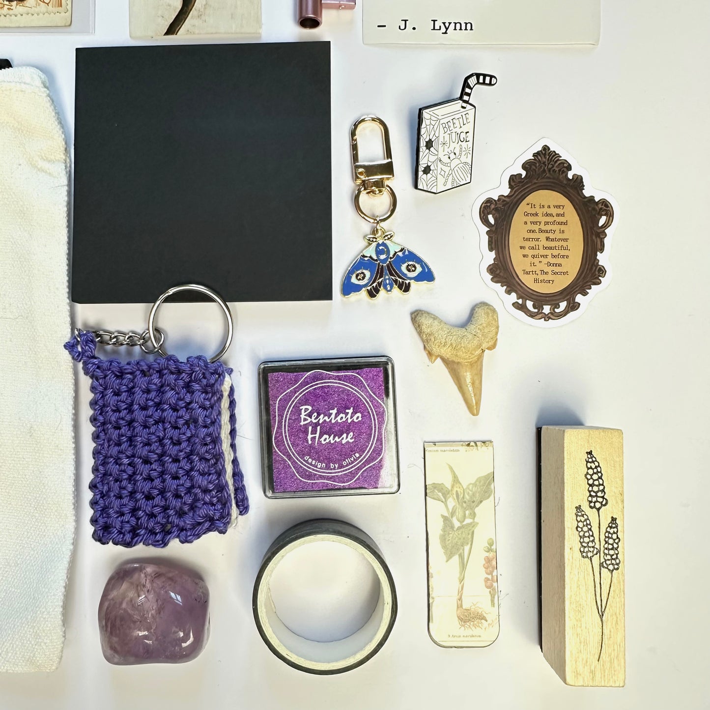 Curiosities Bundle