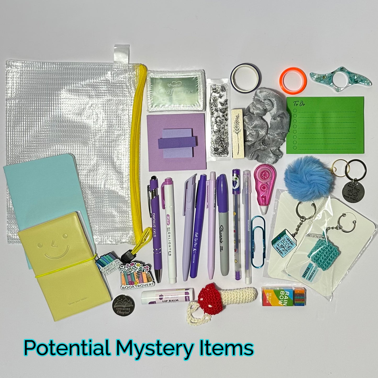 Mystery Bookish Bundle