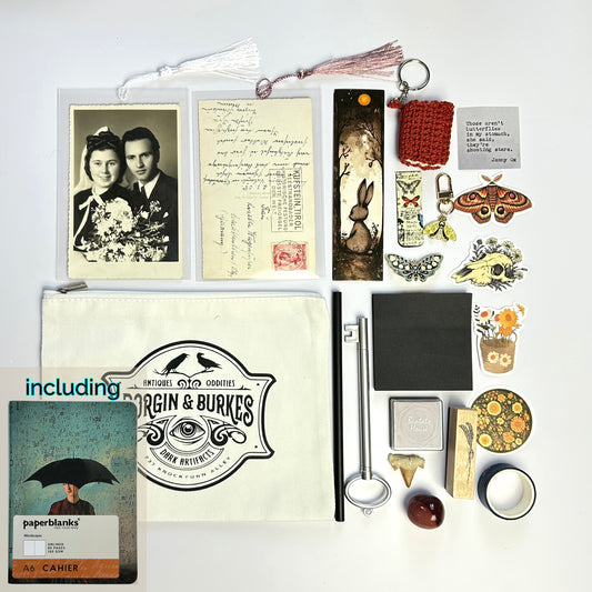 Curiosities Bundle