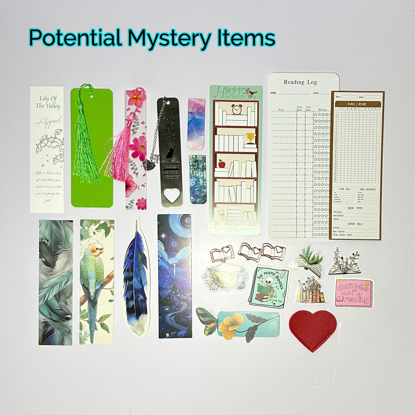 Mystery Bookish Bundle